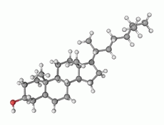 Cholesterol