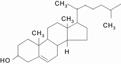 Cholesterol